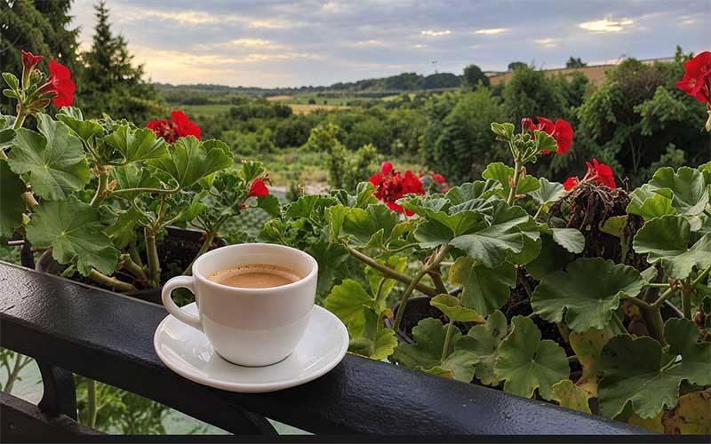 Čarobno jutro